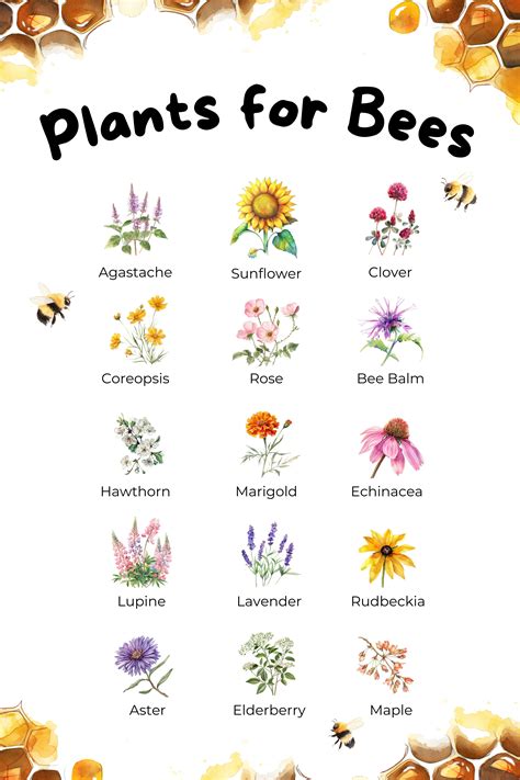 Plants for bees – Artofit