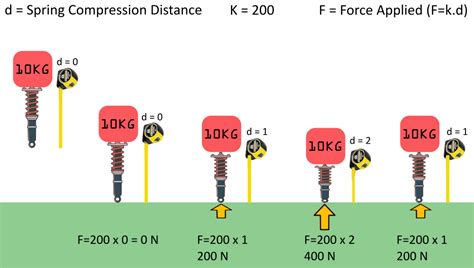 Image result for Forces On a Spring