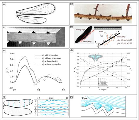 Flight Structures in Insects 的图像结果