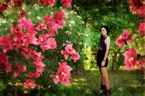 Explain Technology 的图像结果