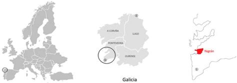 Notes on the Nest Architecture and Colony Composition in Winter of the ...