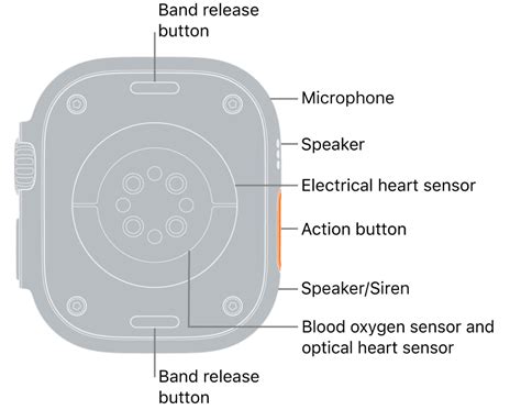 Apple Watch models - Apple سپورٹ (IN)