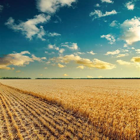 Boersma Funeral Home Wheatfield, Indiana