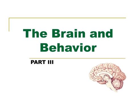 Brain and Behavior 的图像结果