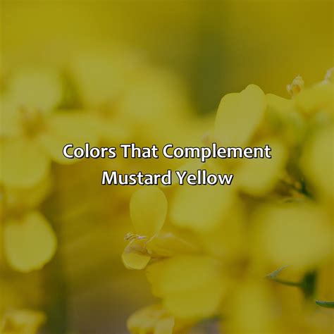 Image result for Mustard Yellow Complementary Colors