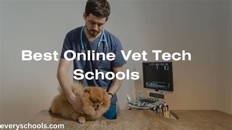 Image result for Accredited Vet Tech Programs