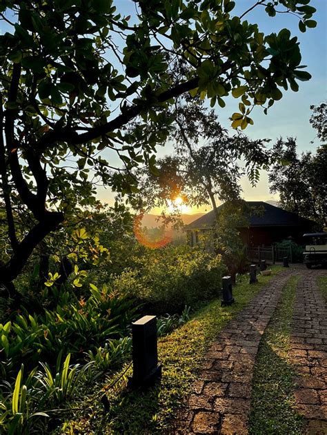 The Postcard Hideaway, Netravali Rooms: Pictures & Reviews - Tripadvisor