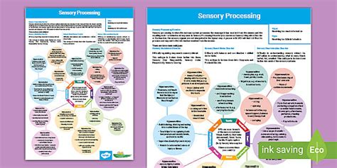 Sensory Processing Guidance (teacher made) - Twinkl