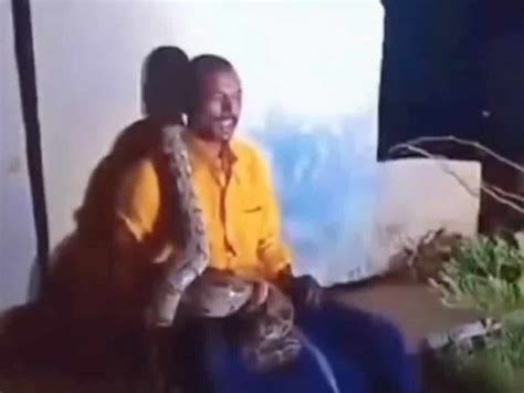 Image result for Python around Neck