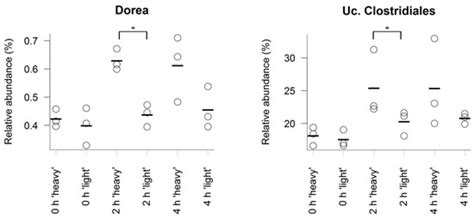 In Vivo Assessment of Resistant Starch Degradation by the Caecal ...
