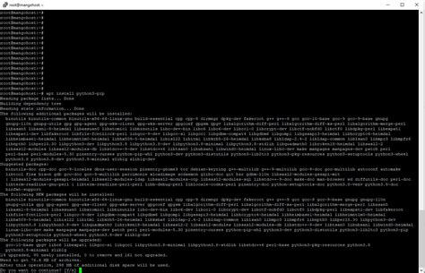 Image result for Python Package Installer