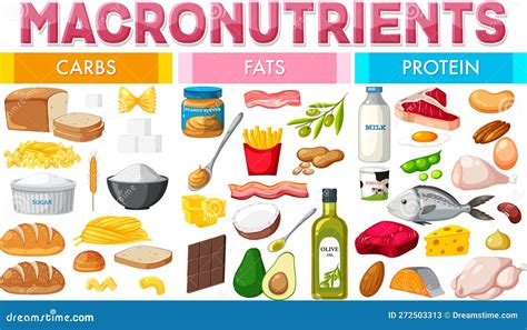 Image result for Macronutrients Graphics