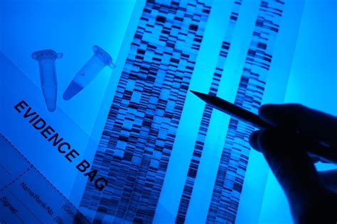 DNA in Forensic Science 的图像结果