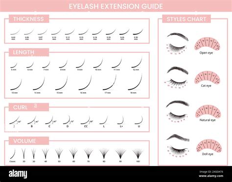 Eyelash extensions guide. Lashes extension types by thickness, length ...