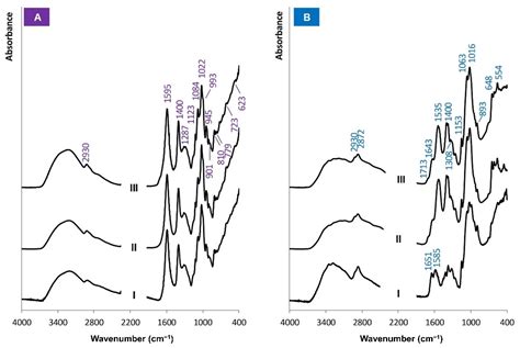 Effect of the Biopolymer Carrier on Staphylococcus aureus Bacteriophage ...
