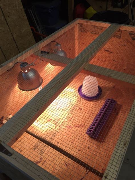 Image result for Turkey Brooder