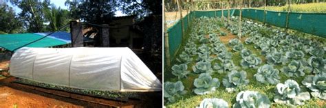 Research | KCAET, Tavanur