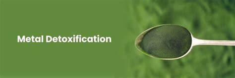 Lung and Respiratory Health Services in Vizag