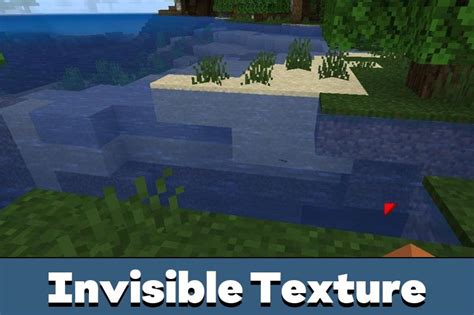 Image result for Invisible Texture Pack Items