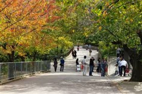 Kobe oji Zoo, kobe, Japan - Top Attractions, Things to Do & Activities ...