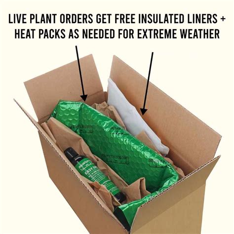 Live Java Moss 的图像结果