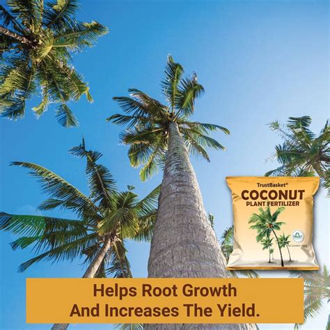 Coconut Plant Fertilizer – TrustBasket