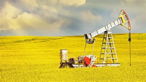 Image result for Reciprocating Pumps Flow Control