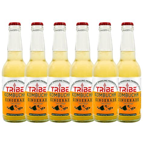 Buy Tribe Kombucha Naturally Sparkling Probiotic Drink Gingerade (330ml ...