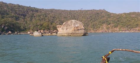 TORTOISE ROCK (2026) All You Need to Know BEFORE You Go (with Photos ...