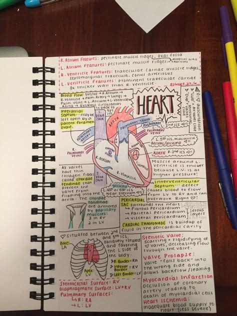 Image result for Management Notes Fancy Writing