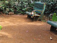 Bondla Wildlife Sanctuary (Goa) - All You Need to Know BEFORE You Go