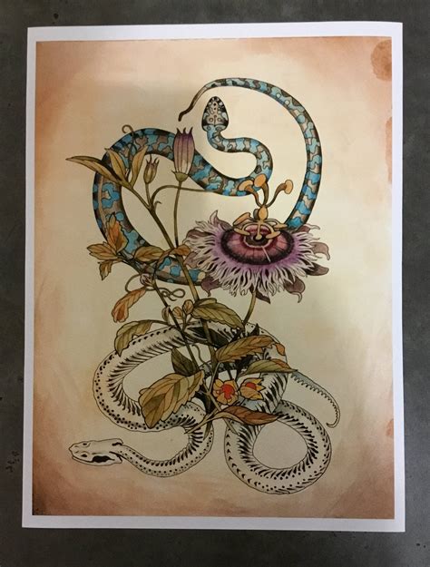 Image result for Passion Java Snakes