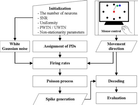 Simulation Tutorial 的图像结果