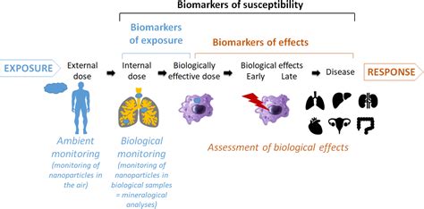 Image result for Biological Classification Question Rashmita Sing
