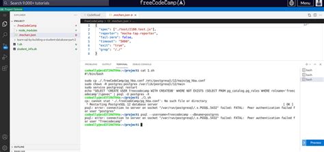 Image result for SQL Freecodecamp