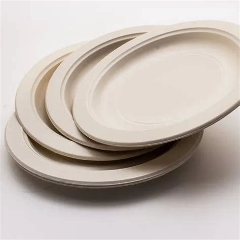 Biodegradable Plates - Biodegradable 12 inch Four Section Plate ...