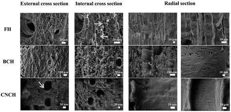 A Review of Applications of Nanocellulose to Preserve and Protect ...
