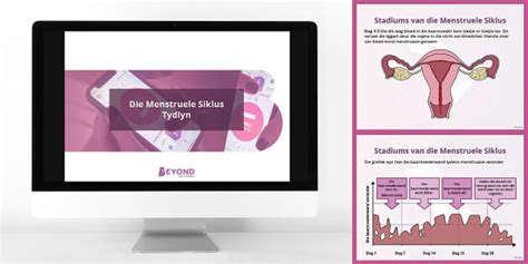 Die Menstruele Siklus Powerpoint (teacher made) - Twinkl