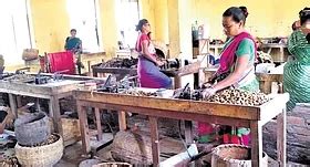 Srikakulam Uddanam cashew bags national ODOP award; farmers seek MSP boost