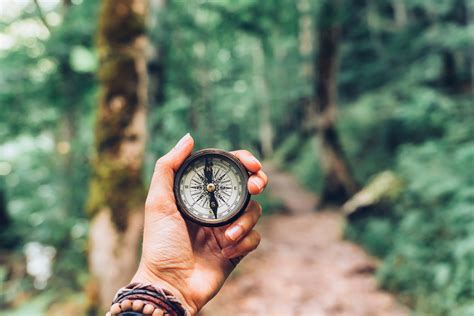 Do Outdoor Activities 的图像结果