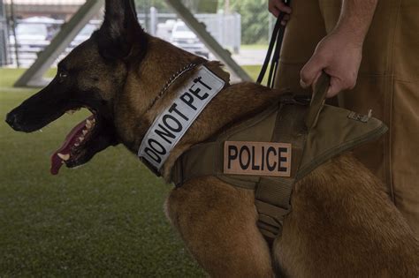 K9 Unit Patches | Police Dog Handler Gear - Ray Allen Manufacturing