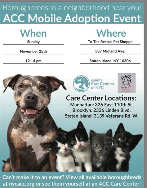 26 huggable pets you can adopt this weekend on Staten Island: Nov. 24 ...