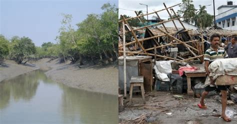 Historic Sunderban Retreat That Hosted Visitors For Over 100 Years Lost ...