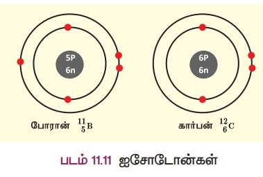 ஐசோடோப்புகள், ஐசோபார்கள் மற்றும் ஐசோடோன்கள் | Isotopes (Iso – same ...