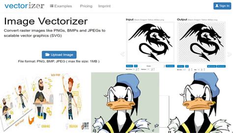 Image result for Vectorize Software