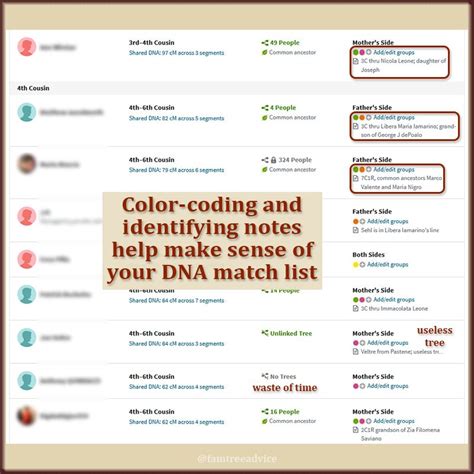 Image result for Color Coding DNA Matches