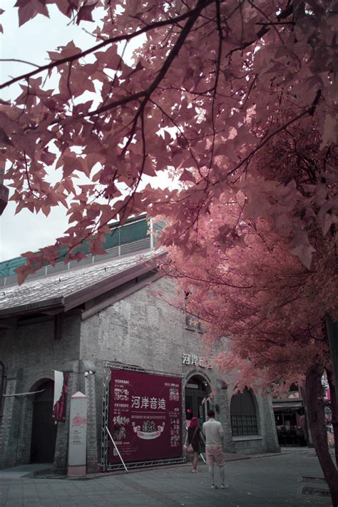 Fujifilm XE2 紅外線異色台灣 - Mobile01