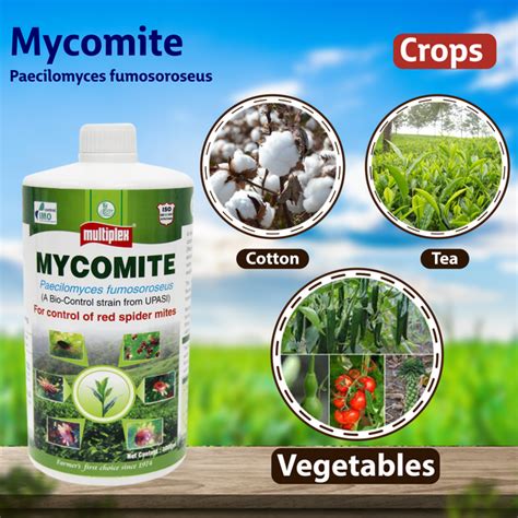 Multiplex Mycomite (Miticide) Liquid – Agriplex