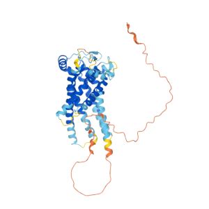Slc46 Structure 的图像结果