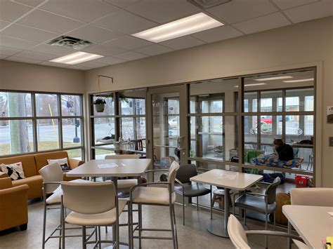 Cat Cafe | Kokomo Humane Society